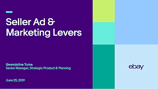 Seller Ad and Marketing Levers